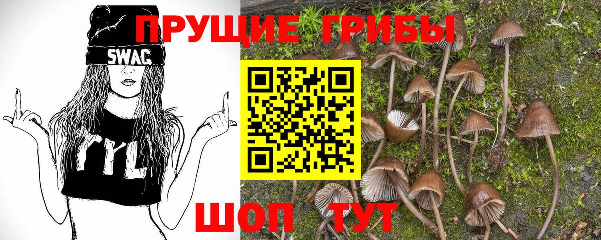 Галлюциногенные грибы мухоморы  купить  сайты  Всеволожск  Вход с VPN 
