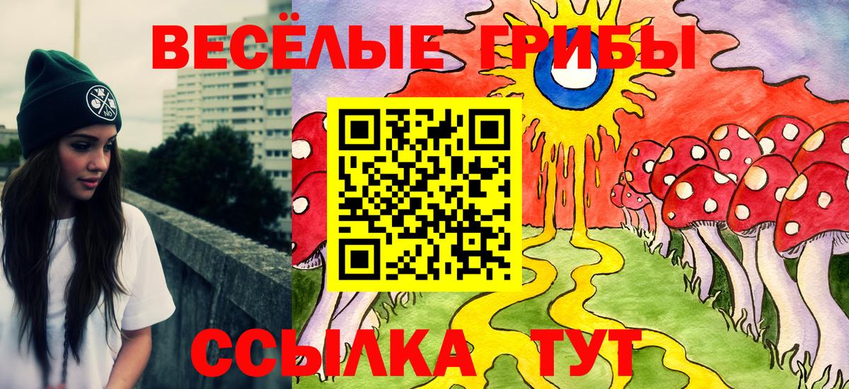 Галлюциногенные грибы прущие грибы Всеволожск